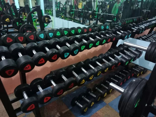 Dumbbell Rack Stand By Indian Bodylines Sports Company