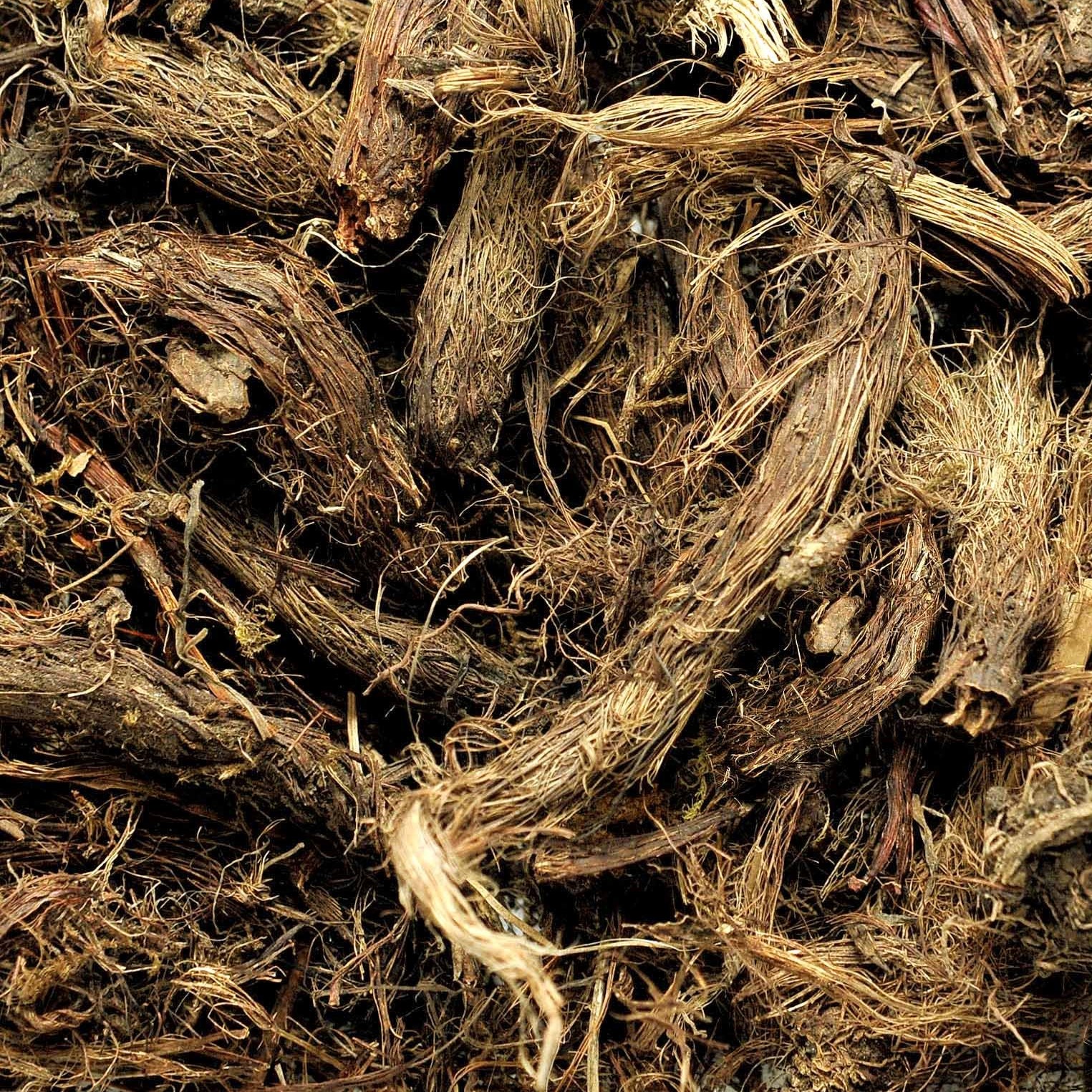 Jatamanshi Oil