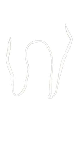 Plain Nylon Laces - One Sided