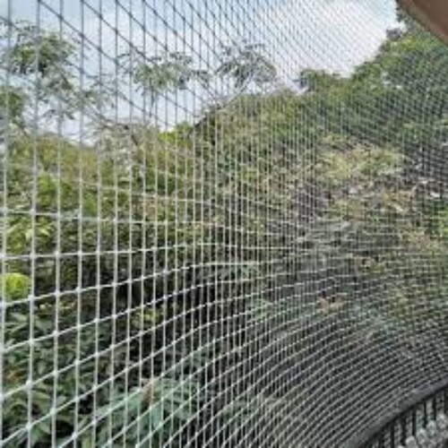 BIRD SAFETY NET