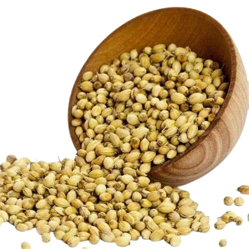Coriander Seed