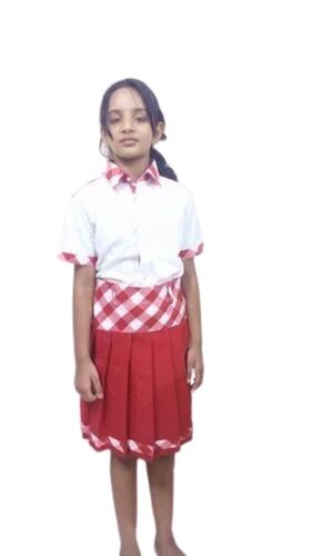 Fancy School Girl Skirt