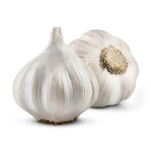 White Garlic - Fresh, Very Good Quality, 100% Pure | Round Shape, Raw Processing Form, Preserved in Cool & Dry Places, 1 Month Shelf Life, Available in Multiple Sizes