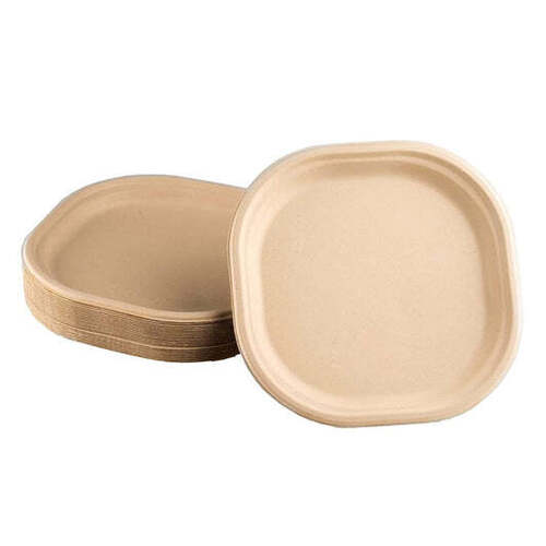 Disposable Plates