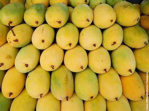 Yellow Mango