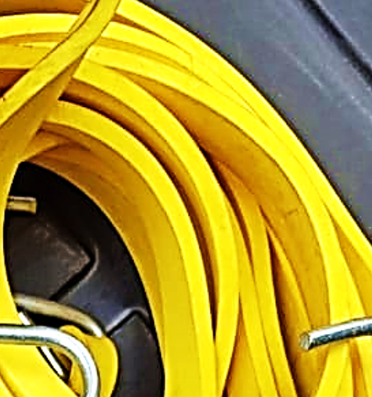 Bungee Cord