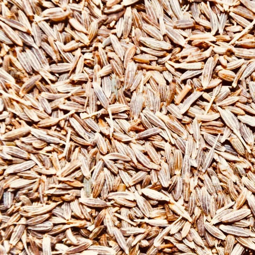 Pure Organic Cumin Seeds - Color: -