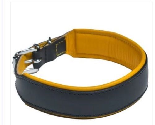 Designer Leather Dog Collars