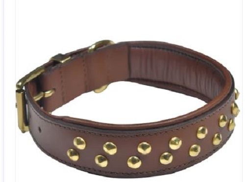 Leather Dog Collars - Leather, Various Sizes Available, Various Colors, Designer Style, Wrinkle-Free Material, True Value for Money, Timely Delivery