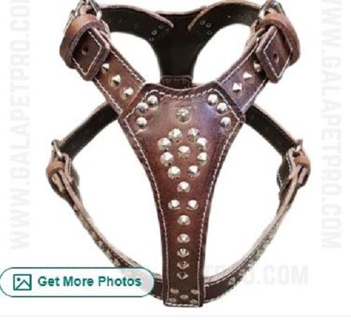 Leather Harness For Dog