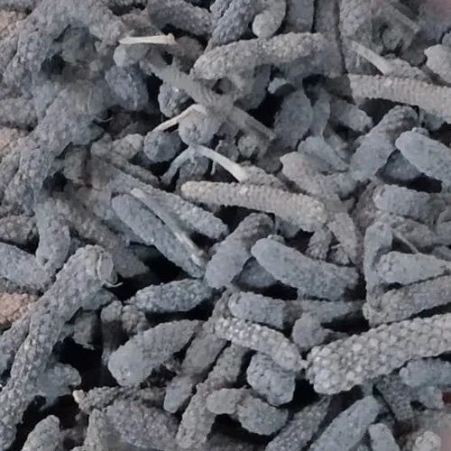 Long Pepper Pippali