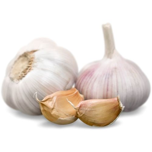 White Garlic - Preserving Compound: Na