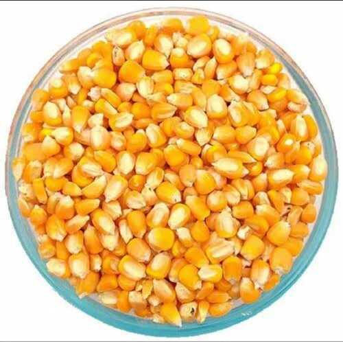 Yellow Corn - Admixture (%): Na