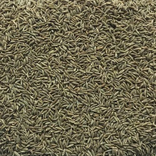 Cumin Seed 