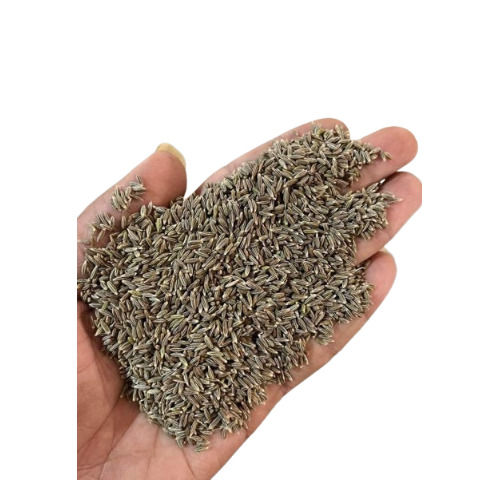 Cumin Seeds