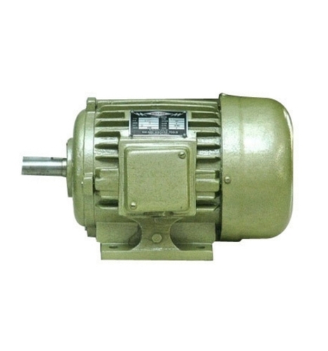 Electric Induction Motor