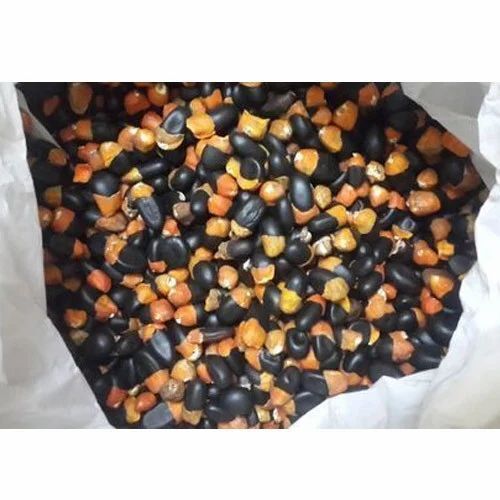 Afzelia Africana Herbal Seeds - Color: Black & Orange