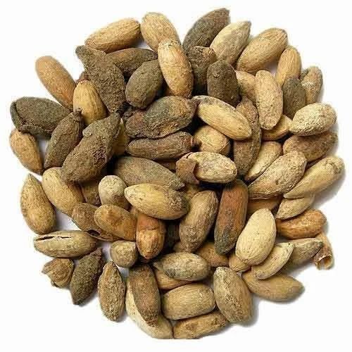 Azadirachta Indica Neem Seeds - Color: Brown