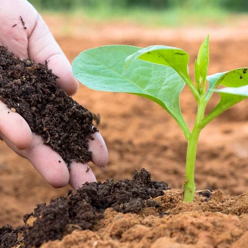Bio Fertilizers - Organic Fertilizer, 100% Pure Powder, Brown Color | Enhances Soil Health, Promotes Beneficial Microbes, Reduces Chemical Dependency, Supports Sustainable Farming