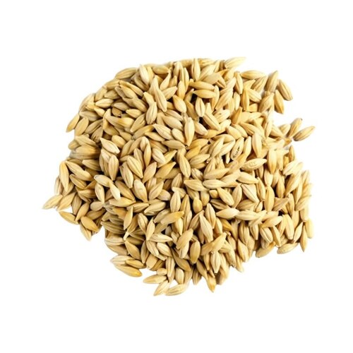 Wheat Seeds - Fresh Quality, Very Good Grade A, Natural Drying Process, 100% Purity, Brown Color, Edible Food Grain, Good for Health