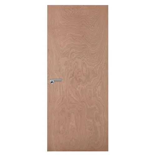 Flush door
