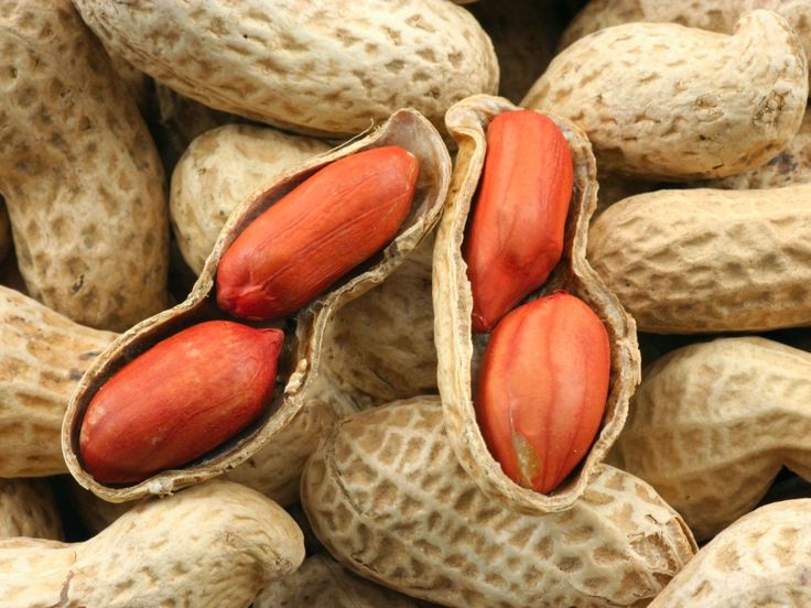 Raw Red Skin Peanut - Grade A, Fresh Variety | High Protein, Fiber-Rich, Non-GMO, Versatile for Snacking and Cooking, Ideal for Roasting or Boiling