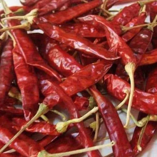 Red Chili - Premium Quality 100% Pure Spicy Flavor Dried Raw Form Red Color | Health Friendly Pesticide Free Preservatives Free Room Temperature Storage For Cooking