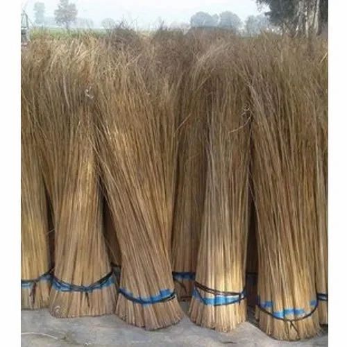 Coconut Brooms - Natural Coconut Fibers, Eco-Friendly & Biodegradable Material, Strong & Resilient Bristles Ideal for Outdoor Use, Effective for Sweeping Rough Surfaces