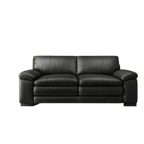 Leather Sofa