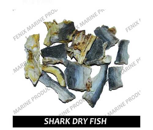 Shark Dry Fish