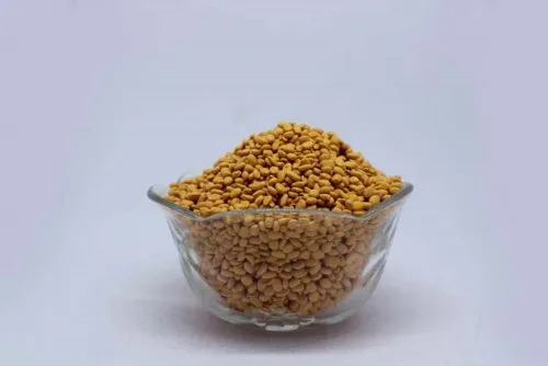 2565 Golden Yellow Masterbatch