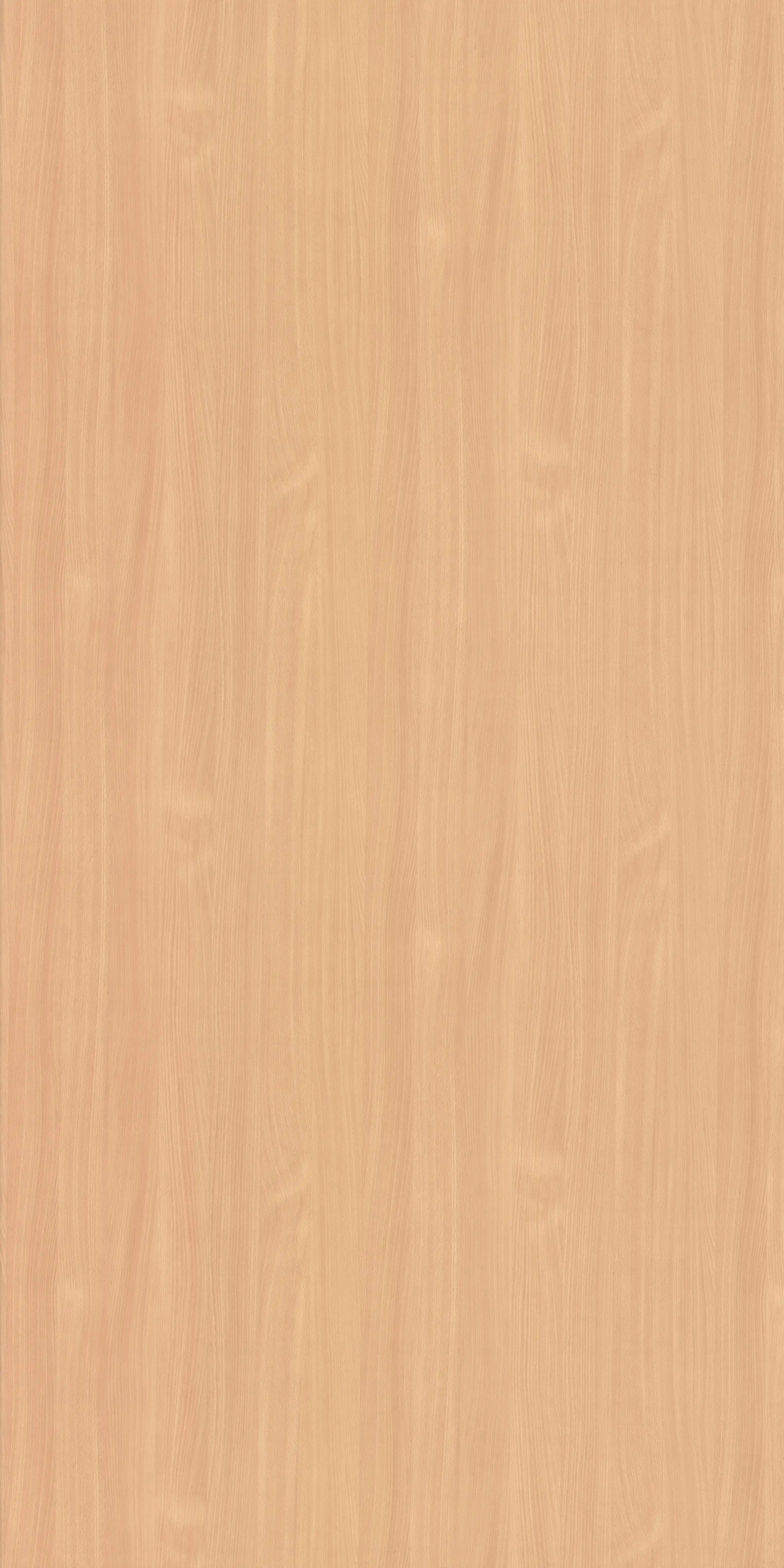 Baverian Beech Particle Board - Industrial Grade, Various Sizes Available | Termite Resistant, Easy to Clean