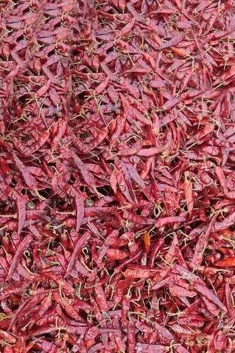 Endo 5 Dry Red Chilli - Fresh Quality, 100% Pure, Whole Pieces | Good for Health, Spicy Taste, Food Grade, Natural Drying Process, 6 Months Shelf Life