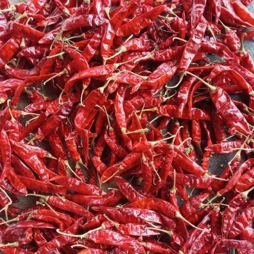 Guntur Delux Dry Red Chilli - Fresh, 100% Pure, Whole Pieces, Red Color, Food Grade, Natural Dried, 6 Months Shelf Life | Good for Health, Cool & Dry Storage, Spicy Taste