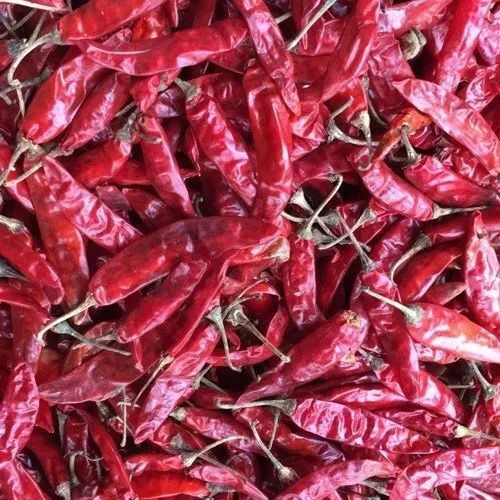 Guntur Dry Red Chilli - Fresh Whole With Stem, 100% Pure Natural Dried, Spicy Flavor, Good for Health