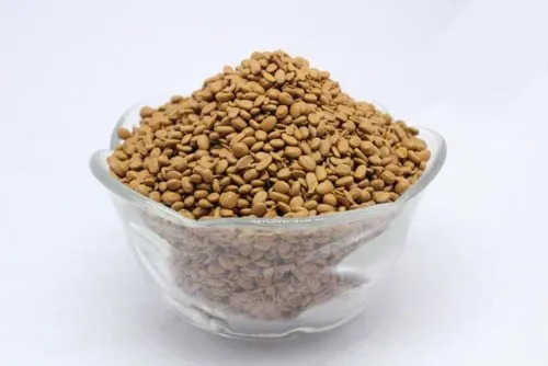 Light Brown Plastic Masterbatch