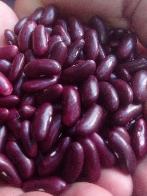 Organic Kidney Beans