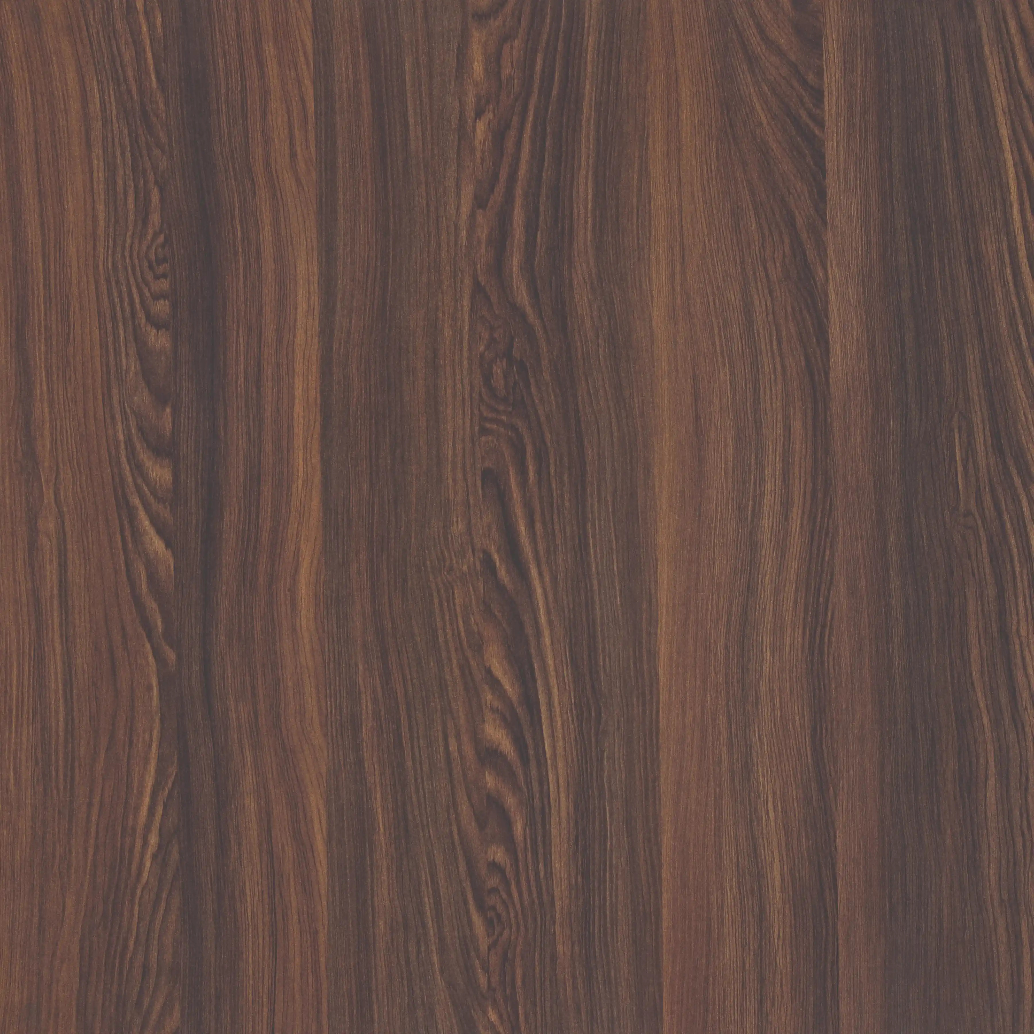 Rolex Particle Board