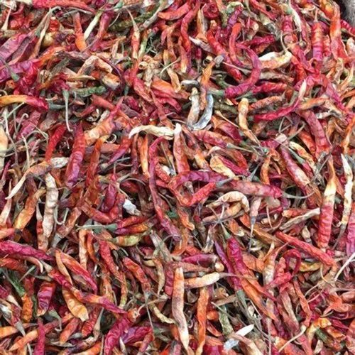 Teja Fatki Dry Red Chilli - 100% Natural Quality, Whole Food Grade | Spicy Taste, Good for Health, Shelf Life 6 Months, Cool & Dry Storage