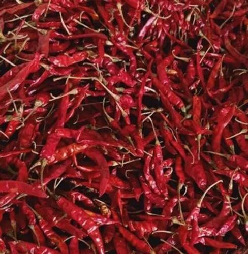 Teja S17 Dry Red Chilli - Fresh, Natural Dried, 100% Pure | Spicy Whole Pieces, Food Grade, Good for Health, Long Shelf Life