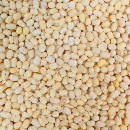 White Urad Dal - Color: Green