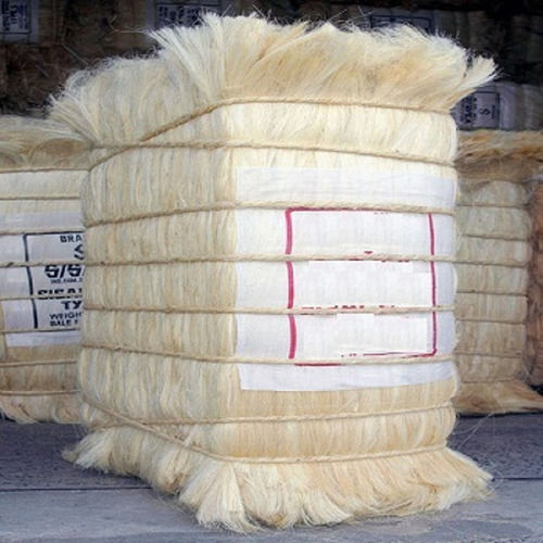 a  Sisal Fiber