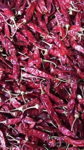 341 Guntur Dry Red Chilli - Fresh Whole, 100% Pure, Naturally Dried, Food Grade Red with Stem, Good for Health