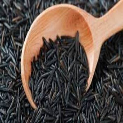 Black Rice - Medium Grain Organic Long Grain Black Rice High In Protein Fresh Dried Quality | Ideal for Cooking and Culinary Uses
