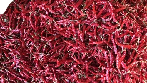 Red Hot Chillies - Whole Red Peppers | 100% Natural Dried, Food Grade, Spicy Taste, 5kg Pack, 6 Months Shelf Life, Best Stored in Cool & Dry Places