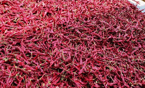Syngenta Byadgi Dry Red Chilli - Fresh, 100% Pure, Whole Pieces | Spicy Flavor, Food Grade, Naturally Dried, Good For Health, 6 Months Shelf Life