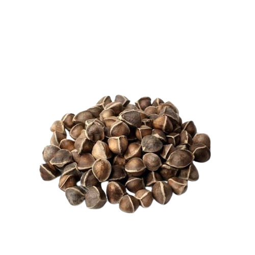 Moringa Seeds Wingless - Grade: A