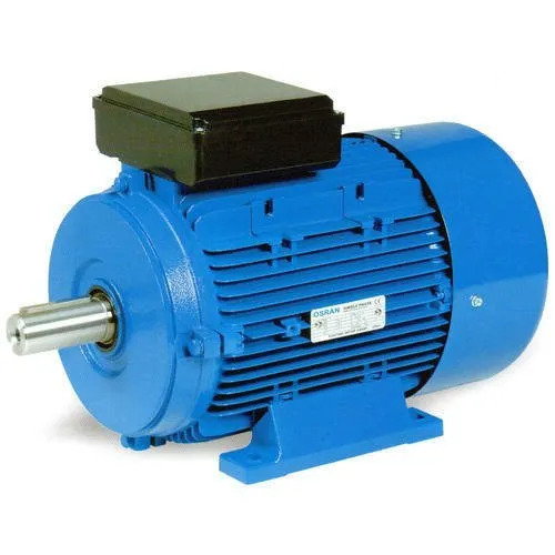 Three Phase Induction Electric Motor