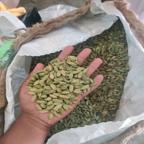 Green Cardamom