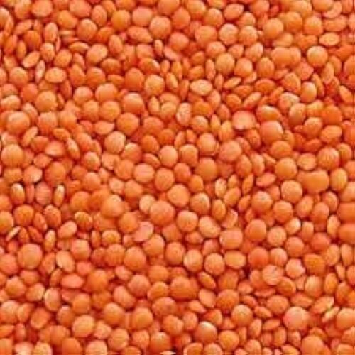 Masoor Dal - Organic Whole Lentils, 100% Pure Protein-Rich Pink Pulses | Health-Enriched, Gluten-Free, Easy to Digest, Ready to Cook, Preservative-Free